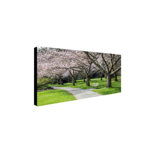 Pierre Leclerc 'Cherry Blossoms' Canvas Art,12x24